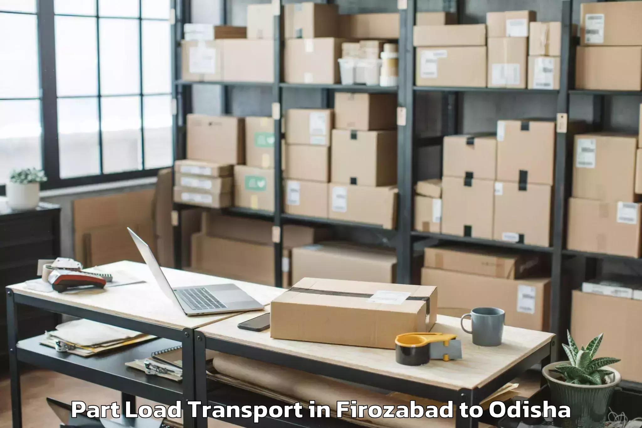 Expert Firozabad to Khaprakhol Part Load Transport